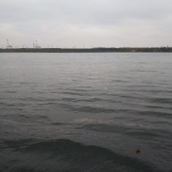 なんか渋く感じた