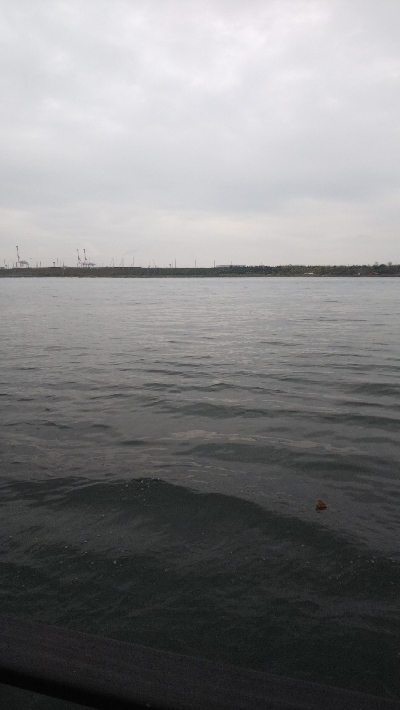 なんか渋く感じた