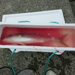 念願！のませ初ヒット！