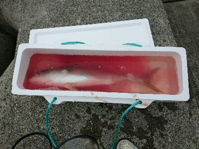 念願！のませ初ヒット！