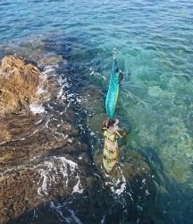 エギング釣行その33