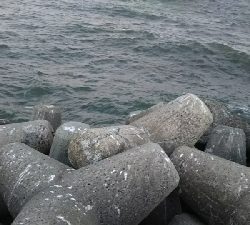 寒いけどガシラ釣り