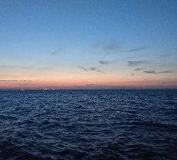 ワインドでサゴシとタチウオ