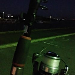 サビキと呑ませ