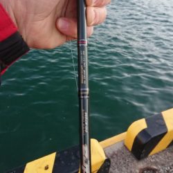 釣り部  釣行記  22