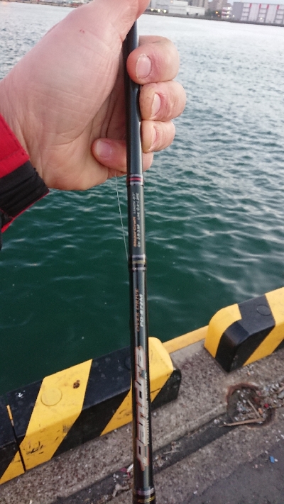 釣り部  釣行記  22