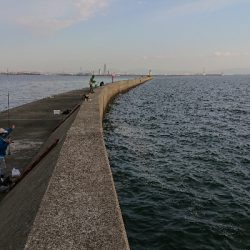 釣り部 釣行記 25