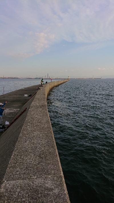 釣り部  釣行記  25