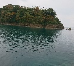 爆風にもマケズ