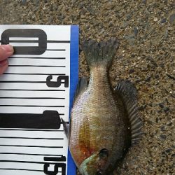 寒くなってきました。