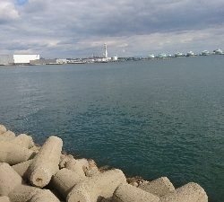 今年はまだまだ