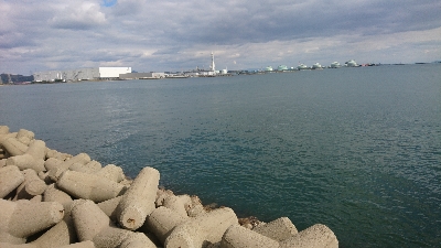 今年はまだまだ