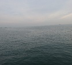 久しぶりの引き