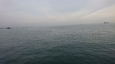 久しぶりの引き