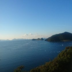 由良半島でライトショアジギング