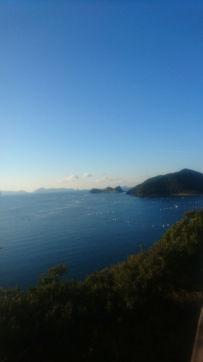 由良半島でライトショアジギング