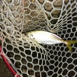 少しいいサイズ