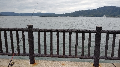 サゴシ狙いでしたが