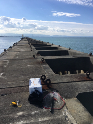 朝一ショアジギング