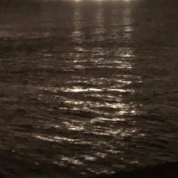 リベンジチャレンジ