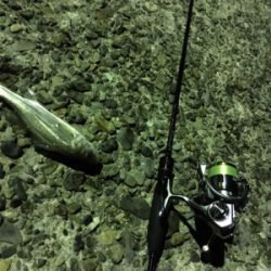 いつもの場所ライトゲーム