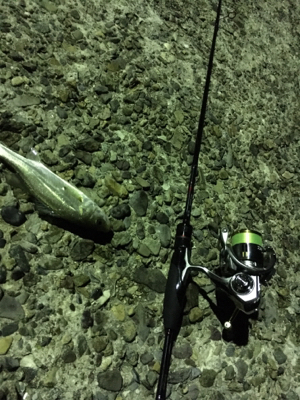 いつもの場所ライトゲーム