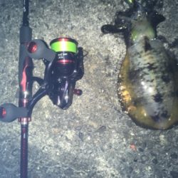 ランガンしながら