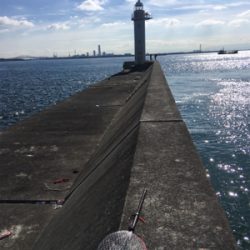 朝まづめショアジギング