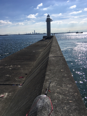 朝まづめショアジギング