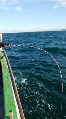 落とし込み 飲ませ