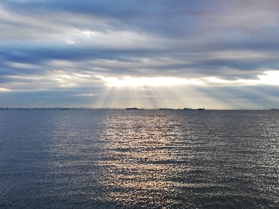 シーバス釣行！