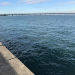 モーニングサービス