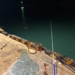 ヤエンでまさかの