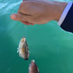 北〜南 ロングコース