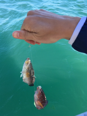 北〜南 ロングコース