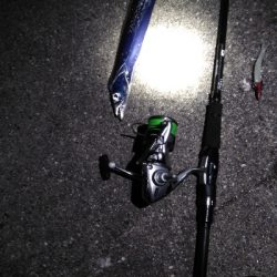 ドラゴン狙いがミニリュウだった