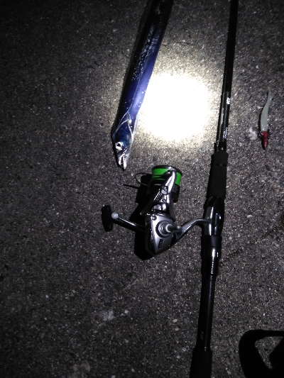 ドラゴン狙いがミニリュウだった