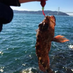 ショアジギ か〜ら〜の〜