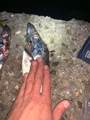 サイズアップを狙って!