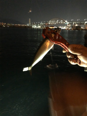 親父たちの釣行 大阪湾編