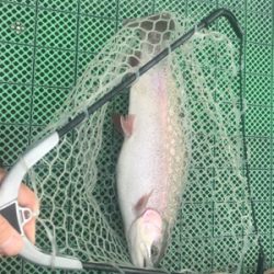 栃木総合運動場プール