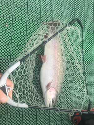 栃木総合運動場プール