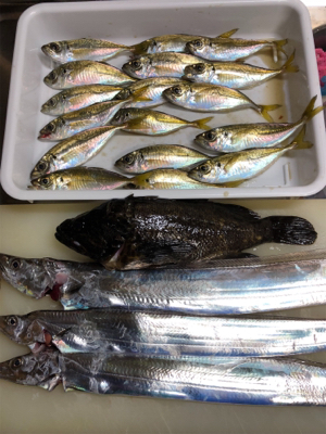 地元ちょこっと太刀魚釣り