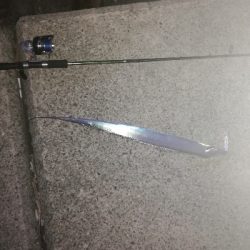 タチウオ釣り大人気！