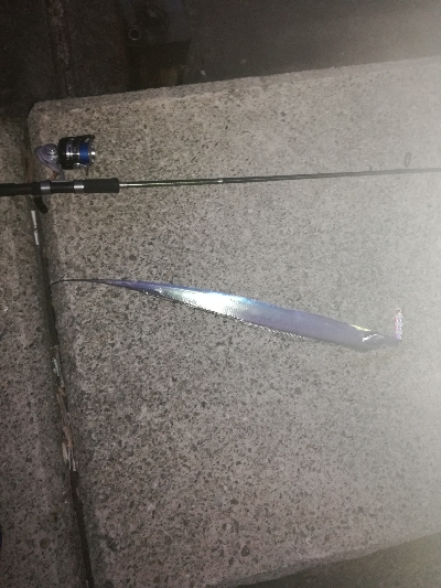 タチウオ釣り大人気！