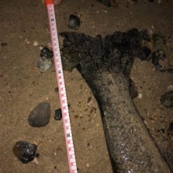 一発でサヨリパターン攻略