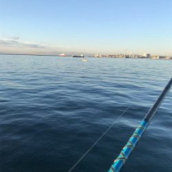 渋太刀&ノー青もノー