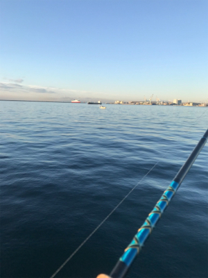 渋太刀&ノー青もノー