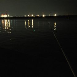 干潮までの短時間釣行