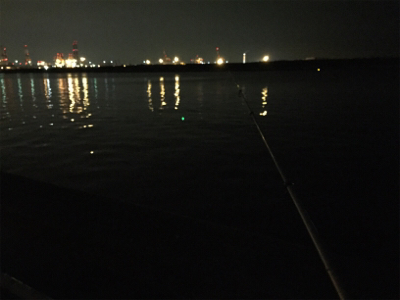 干潮までの短時間釣行